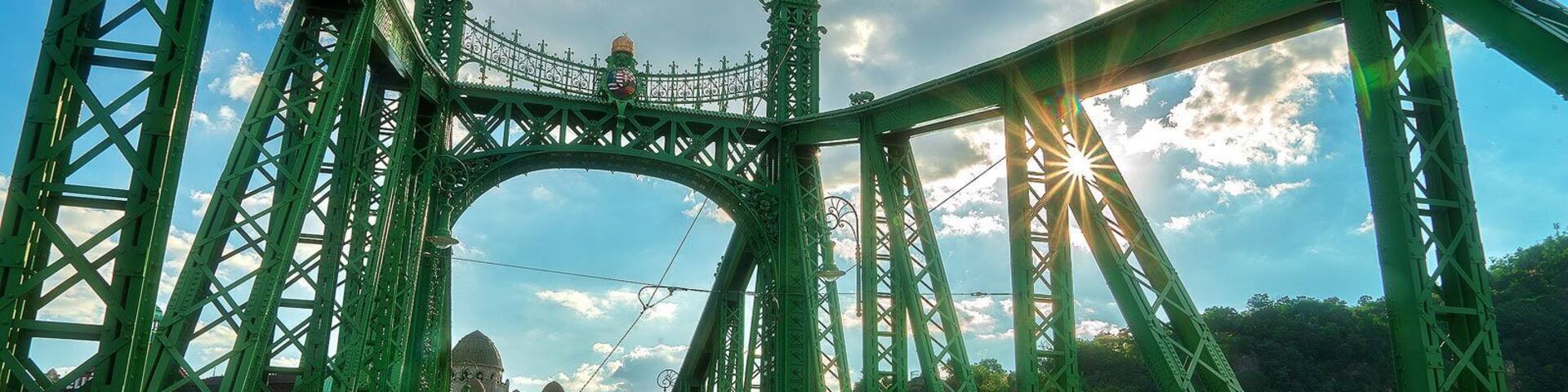 A green steel bridge with a pedestrian walkway and a train track.