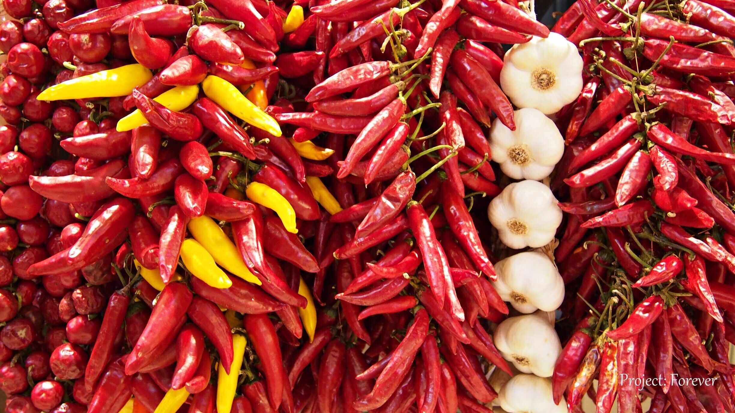 The Great Market Hall in Budapest (Nagycsarnok) is the largest market hall in Europe, and is a good place for souvenir shopping or admiring the fresh goods of Hungary. Downstairs is filled with produce vendors, while in upstairs you can find all kinds of bags, scarves etc. But the very best thing here are the foodstalls upstairs selling Hungarian cuisine for lunch!
#Red