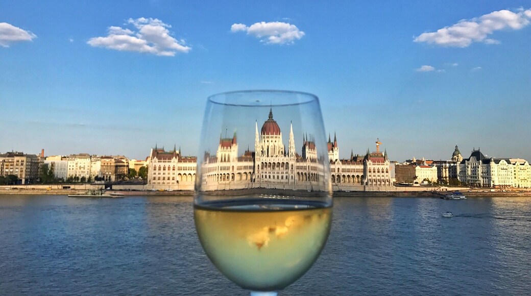 My view of the parliament building in Budapest tonight. Not gonna lie, it's pretty spectacular.