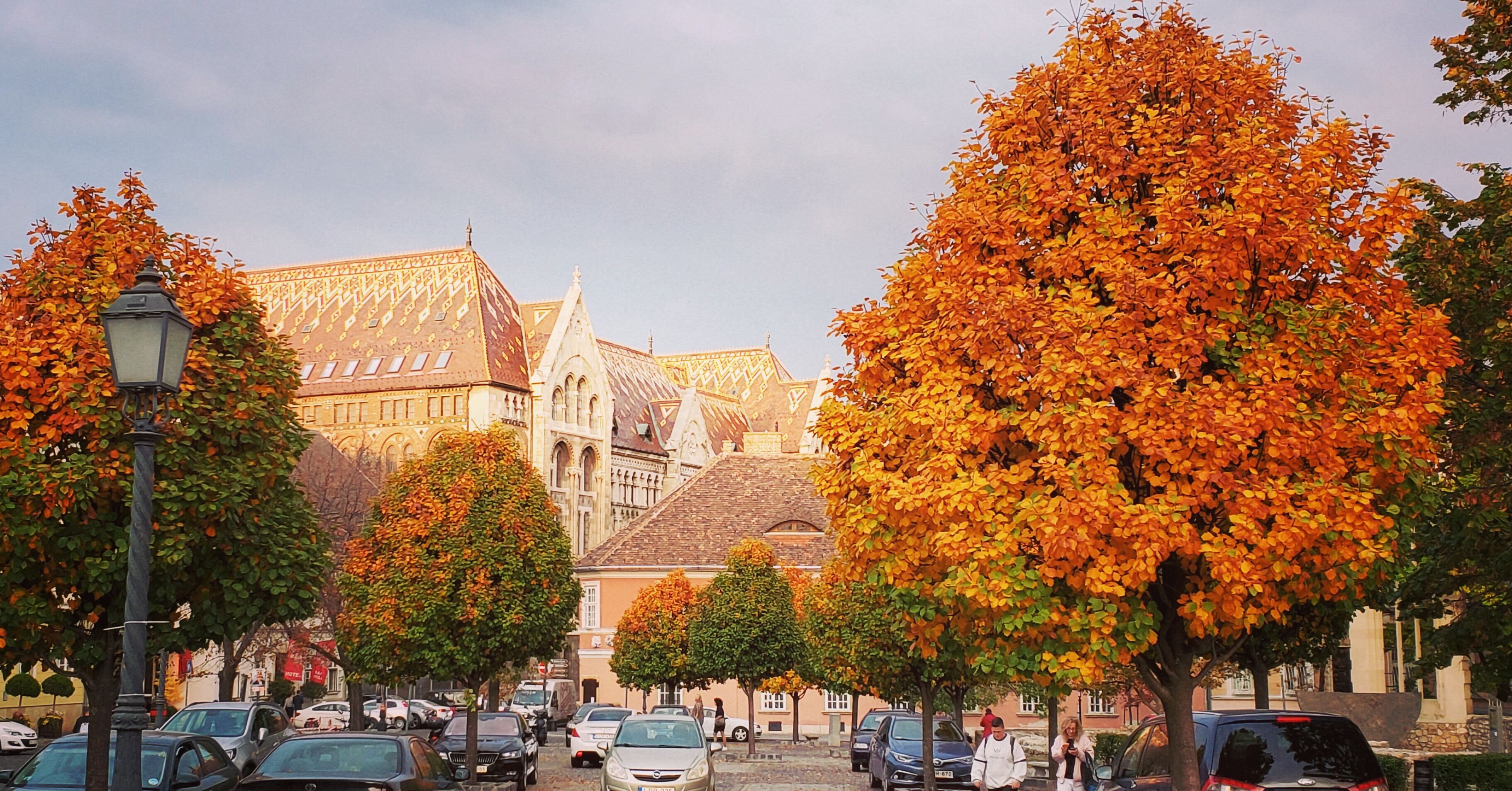 Fall in the grounds around Buda Castle