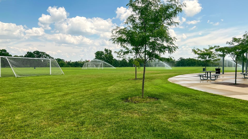 A soccer field with a goalpost, a tree, and picnic tables.