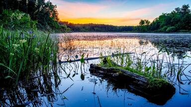 Silver Lake Sunset