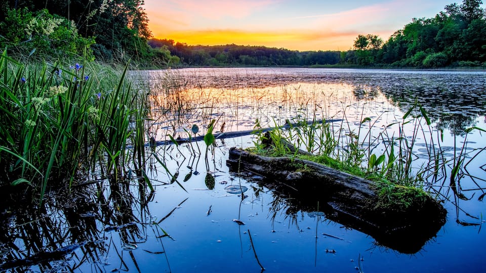A calm lake at sunset with reflections of the sky, surrounded by dense greenery and a fallen tree in the water.