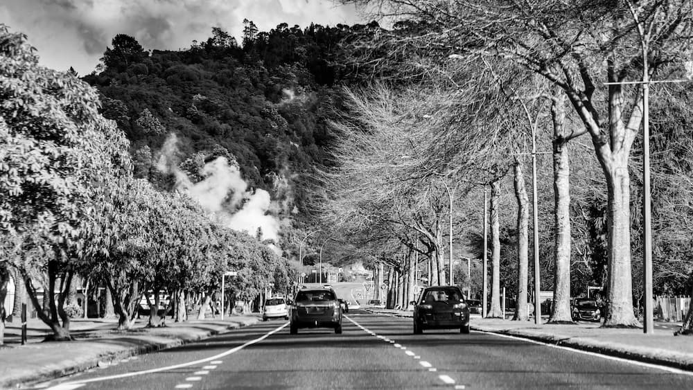 Driving along Fenton Street on a beautiful sunny day