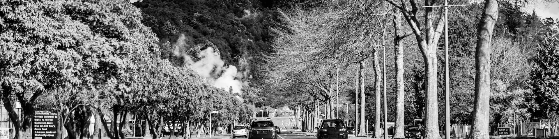 Driving along Fenton Street on a beautiful sunny day