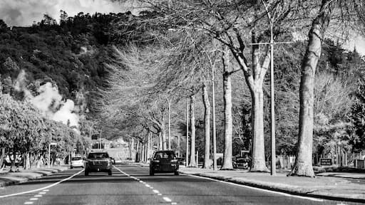 Driving along Fenton Street on a beautiful sunny day