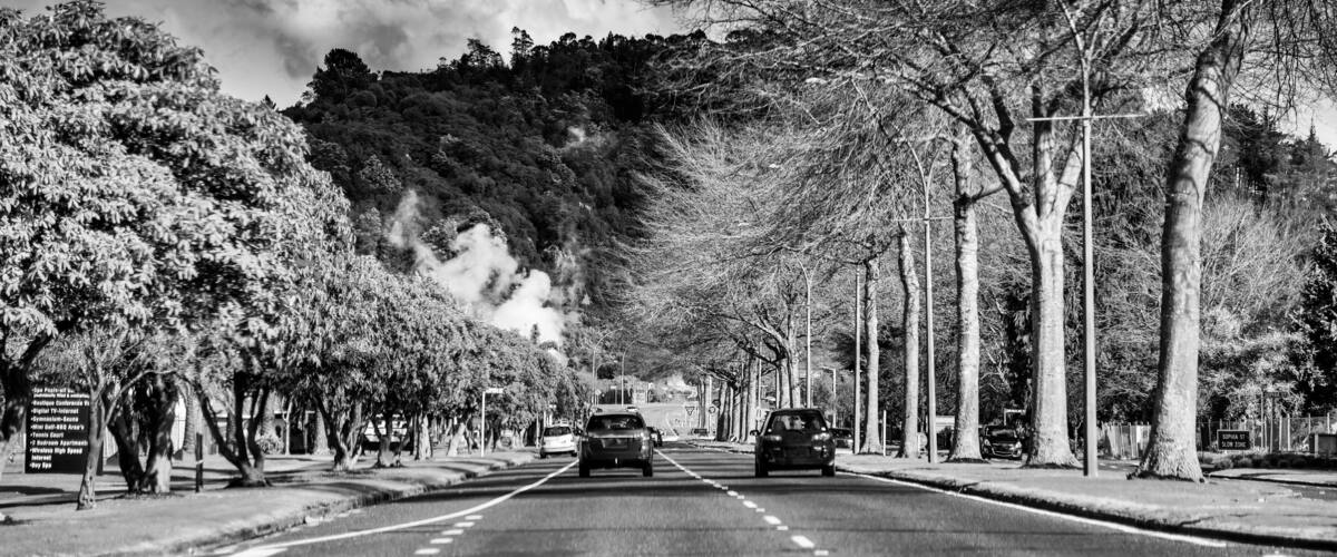 A tree-lined street with cars, a sign for 'Sophia St. Slow Zone,' and a hill in the background.