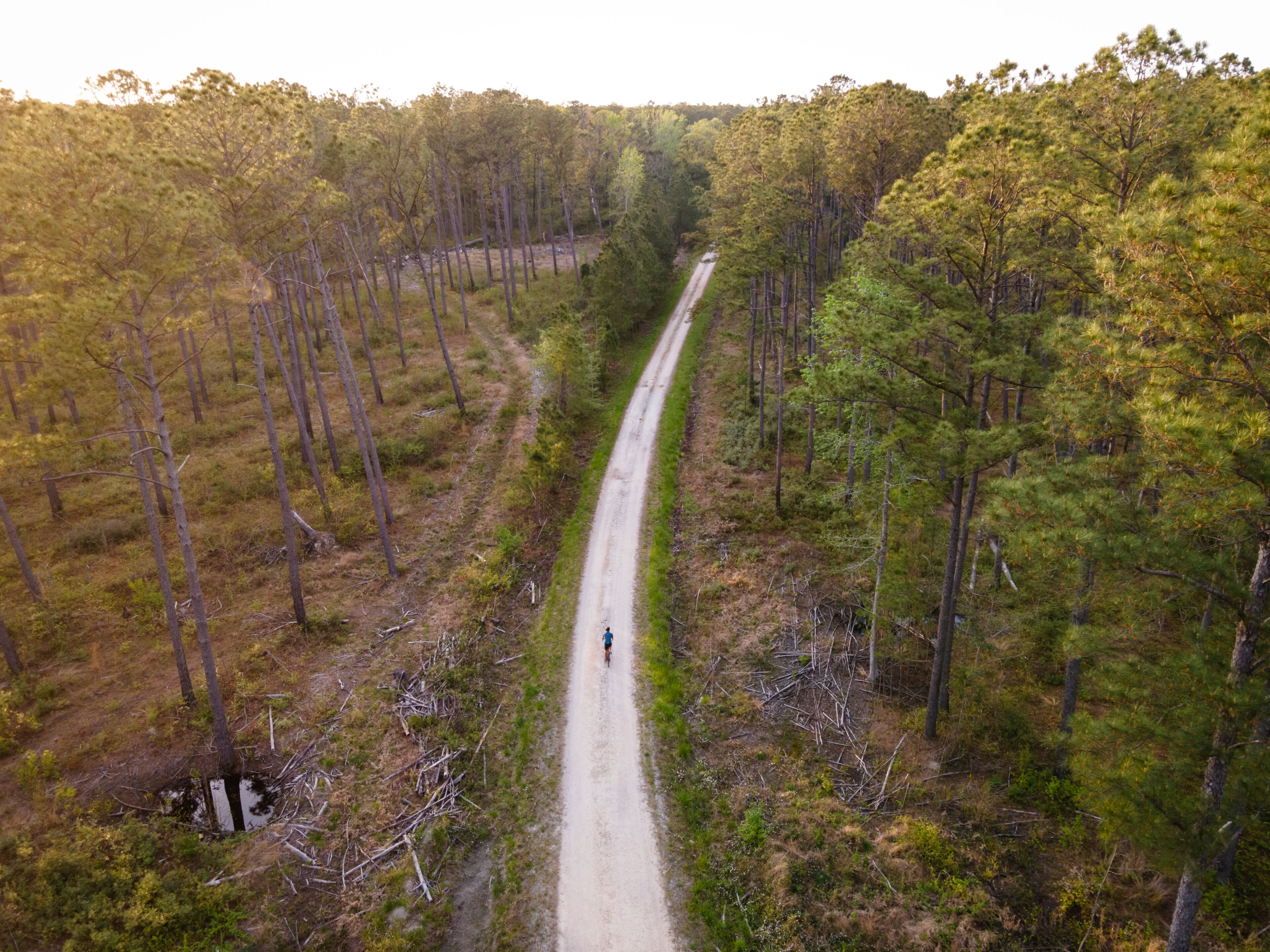 Drone View of Biking on a Gravel Road in Woods in Eastern North Carolina