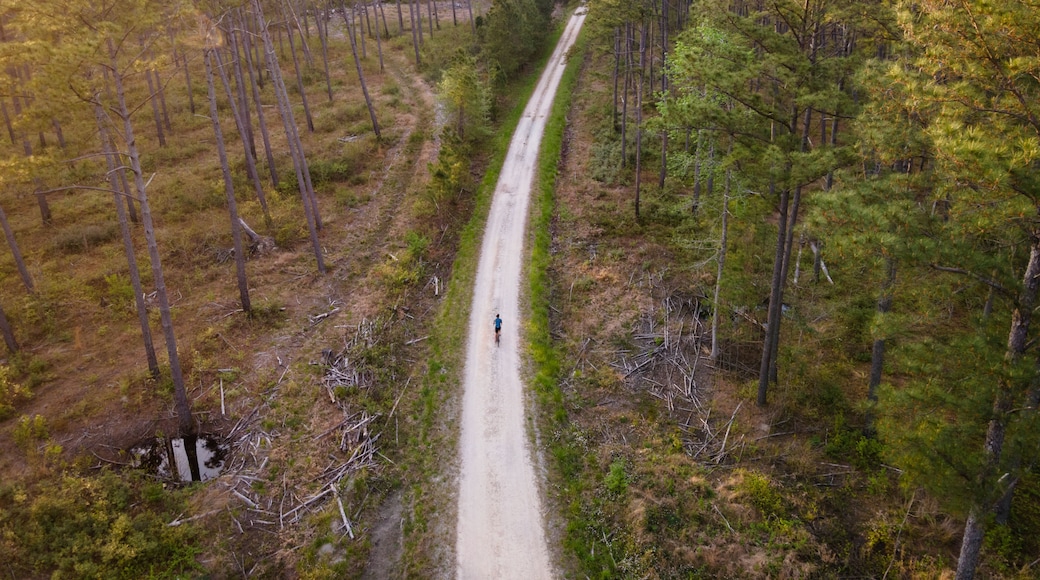 Drone View of Biking on a Gravel Road in Woods in Eastern North Carolina