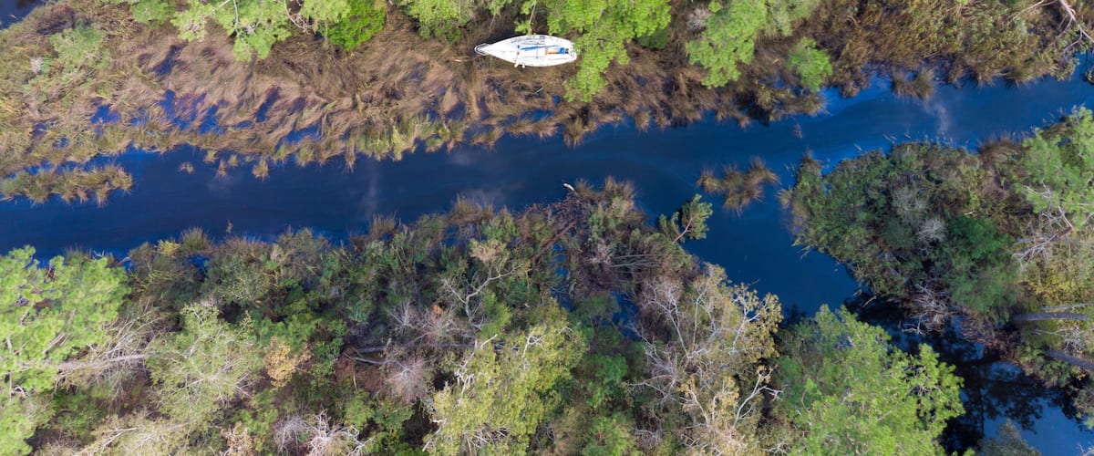 A river surrounded by dense forest with a boat in the middle.