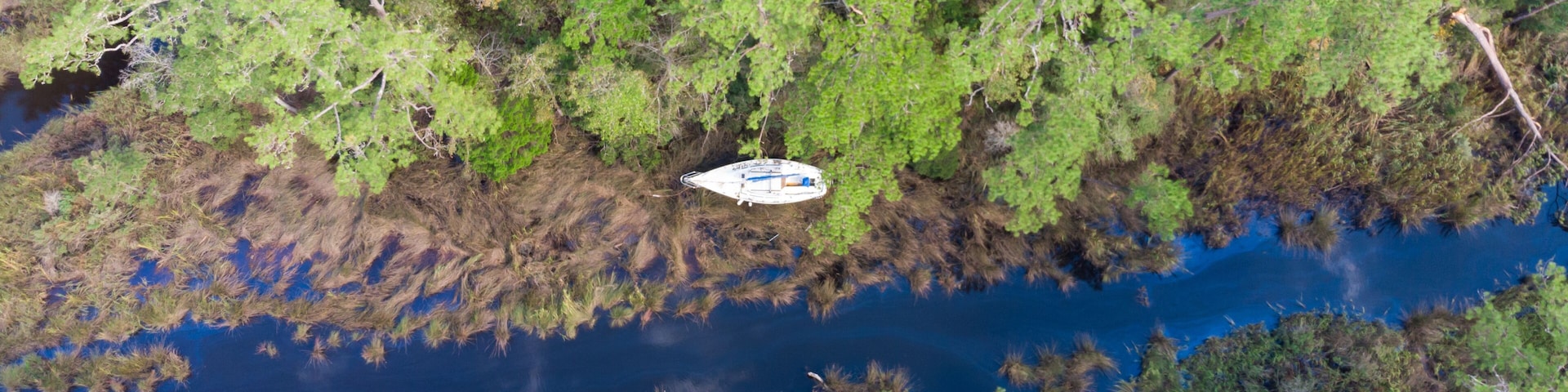 A river surrounded by dense forest with a boat in the middle.