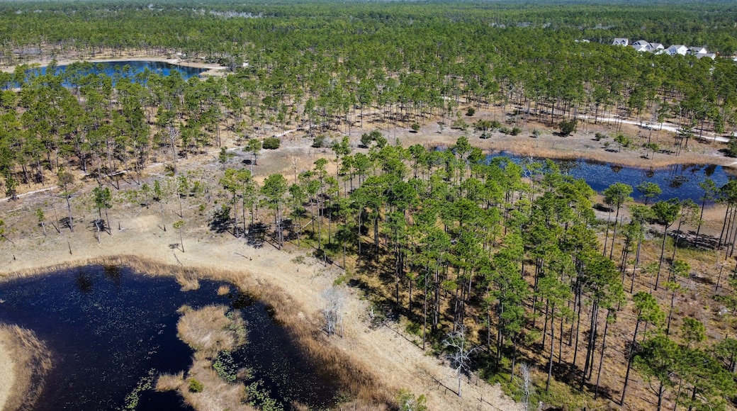 A forested area with a pond and scattered buildings.