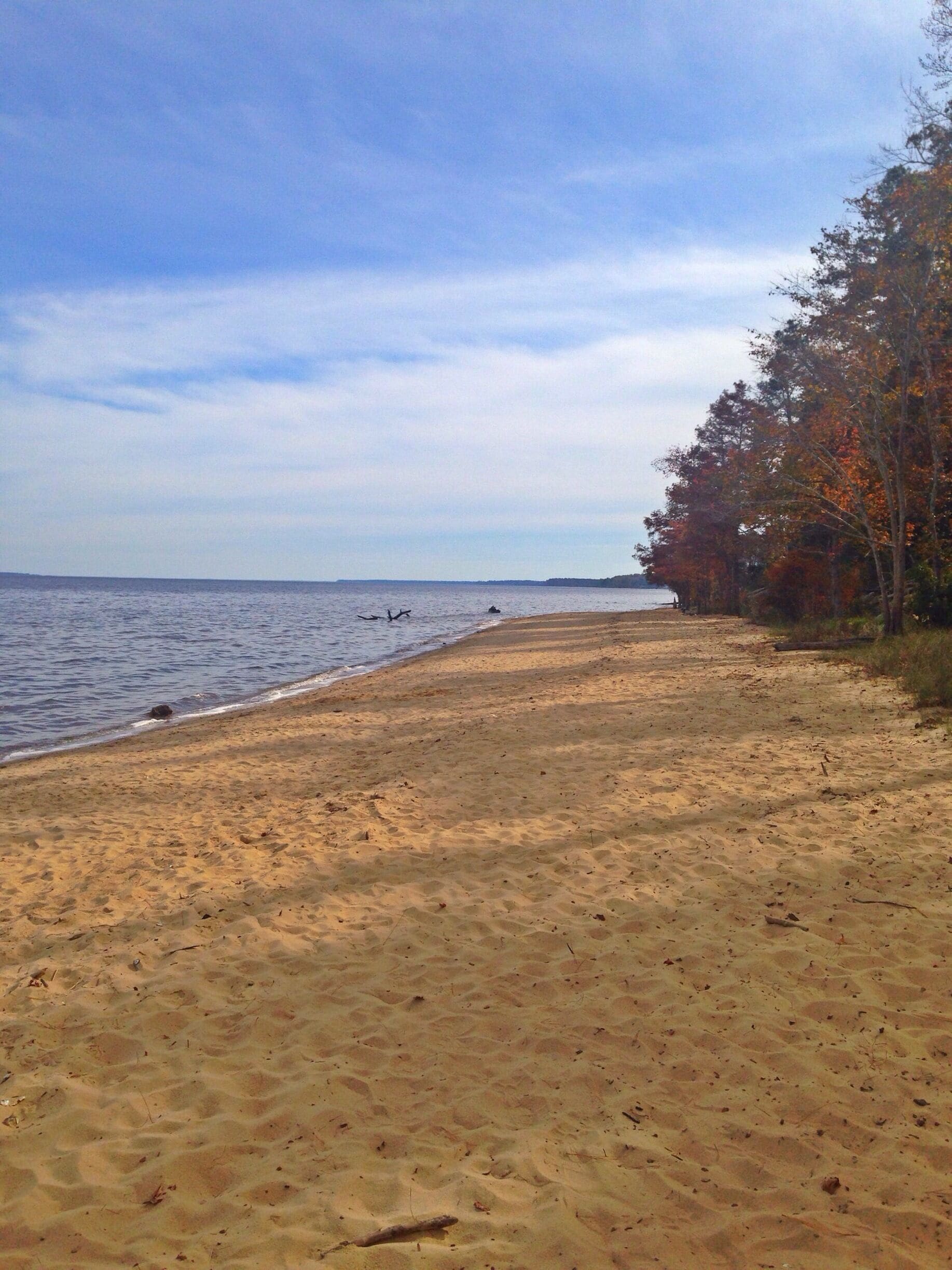 Flanner's Beach at Croatan National Forest allows swimming on the Neuse River 