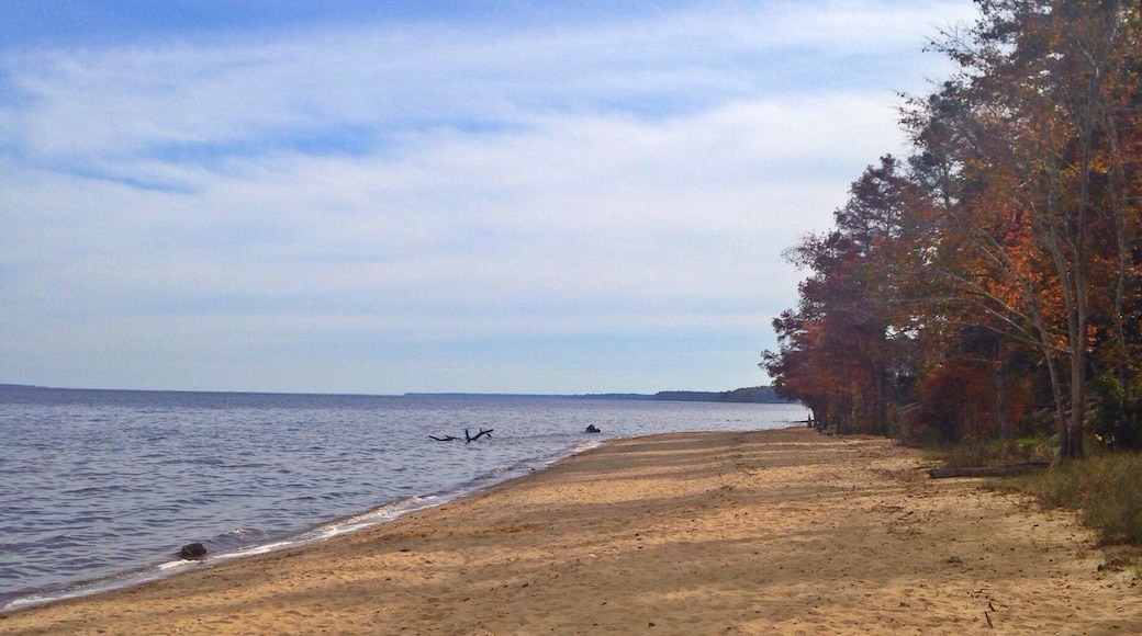 Flanner's Beach at Croatan National Forest allows swimming on the Neuse River