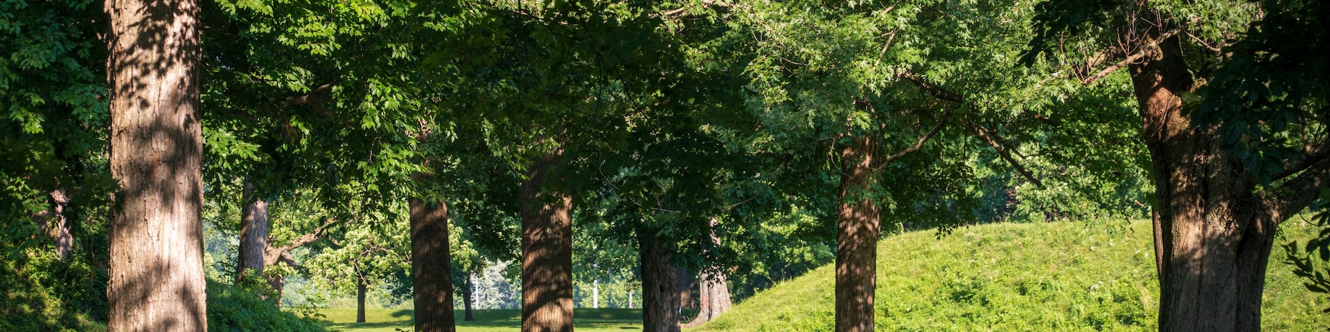 Newark Earthworks in Heath Ohio