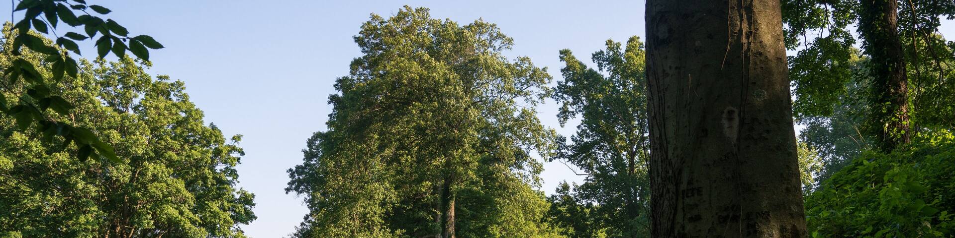 Newark Earthworks in Heath Ohio