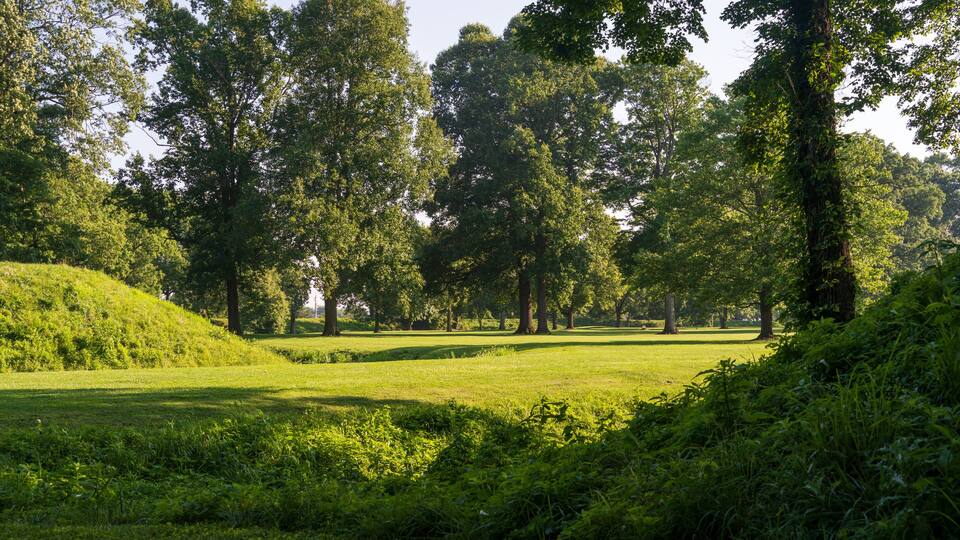 A lush green park with tall trees and a grassy hill.