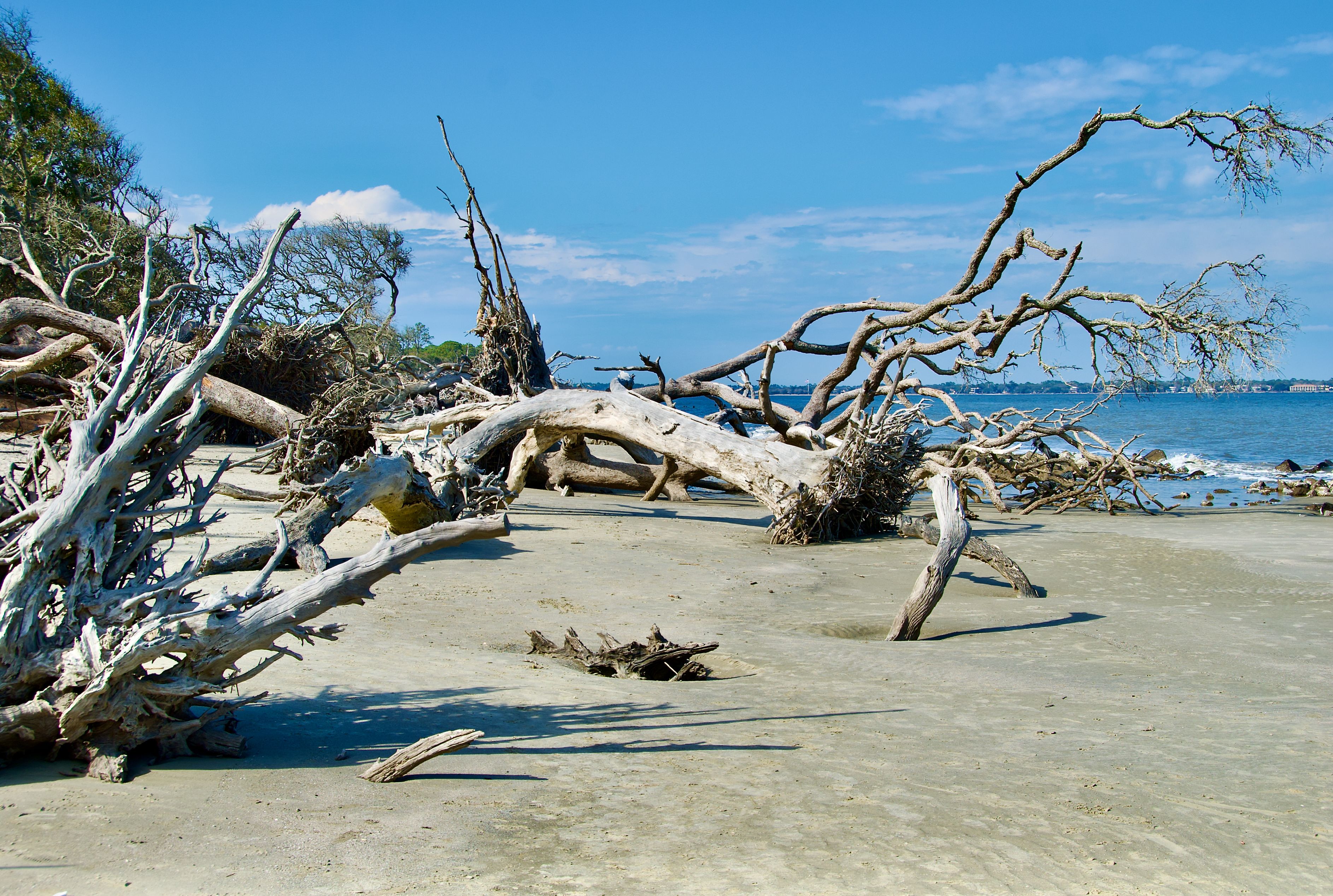 East Beach