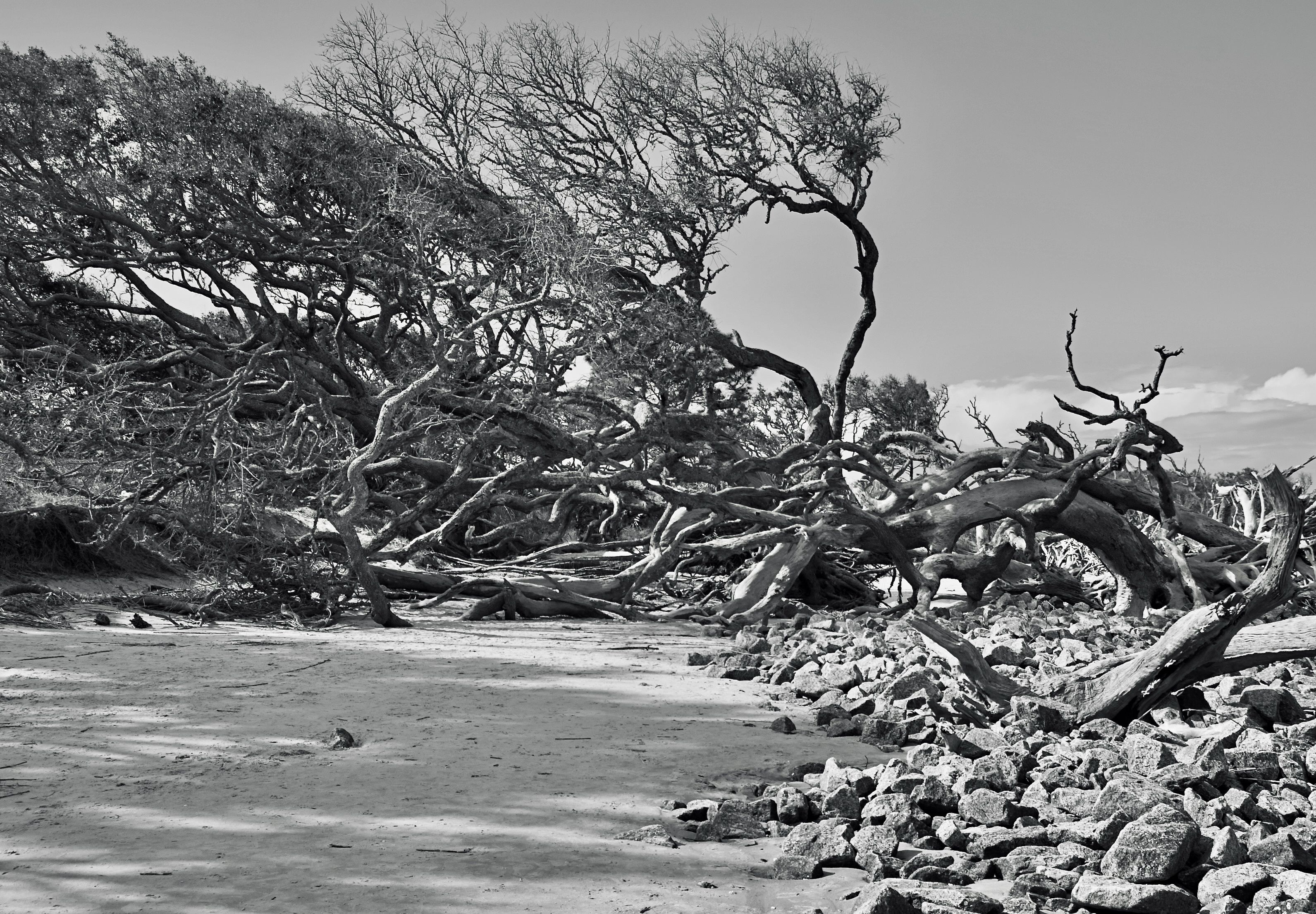 East Beach