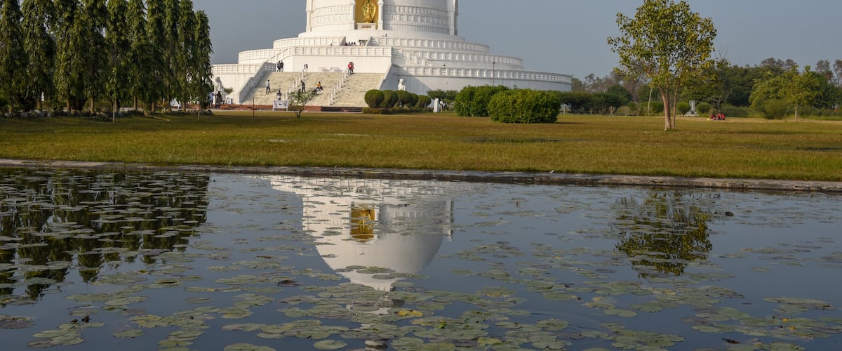 A white stupa with a golden spire, surrounded by a pond with lily pads, and a grassy area with trees.