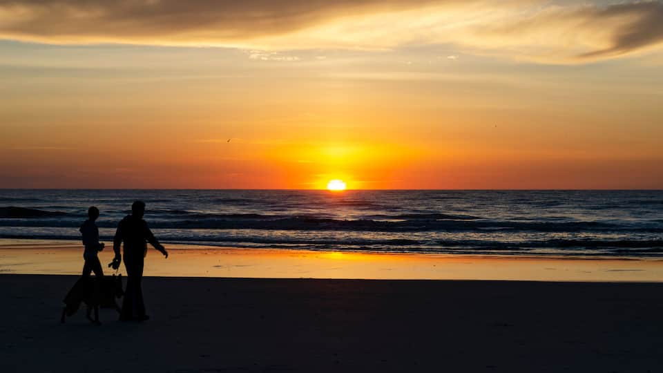 A sunset over the ocean with silhouettes of people and a dog on the beach.