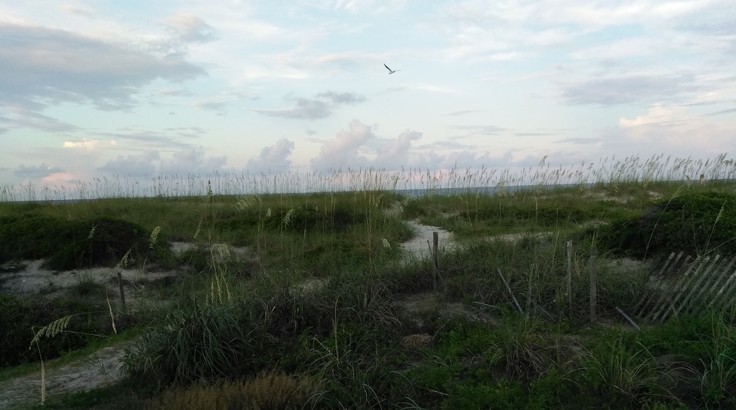 Having dinner at Sliders, dusk and soaring seagull just presented to pretty a picture to pass up.