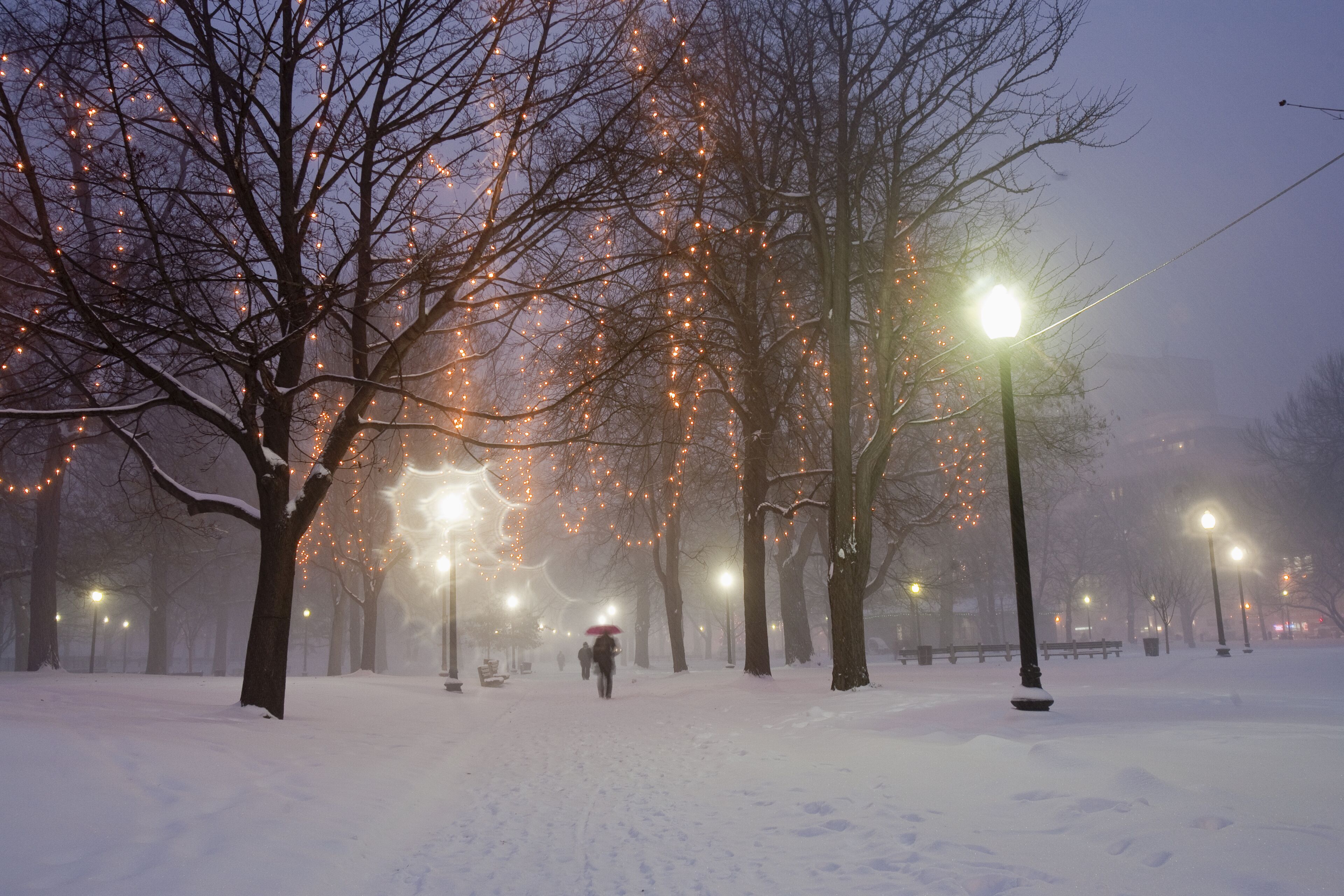 Christmas decoration in a public park in blizzard, Boston Common, Boston, Suffolk County, Massachusetts, USA