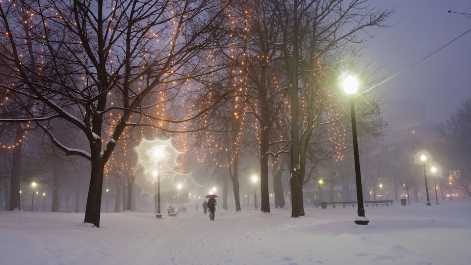A snow-covered park with bare trees and street lamps.
