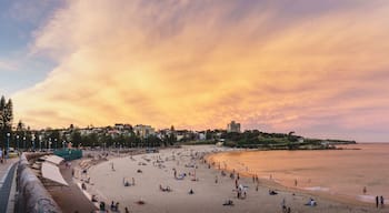 Coogee Beach, New South Wales - APRIL 14th, 2017: Colourful summer sunset over Coogee Beach.