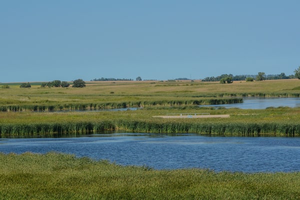 Beautiful wetlands of Hamden Slough on the Detroit Lakes in Audubon, Becker County, Minnesota