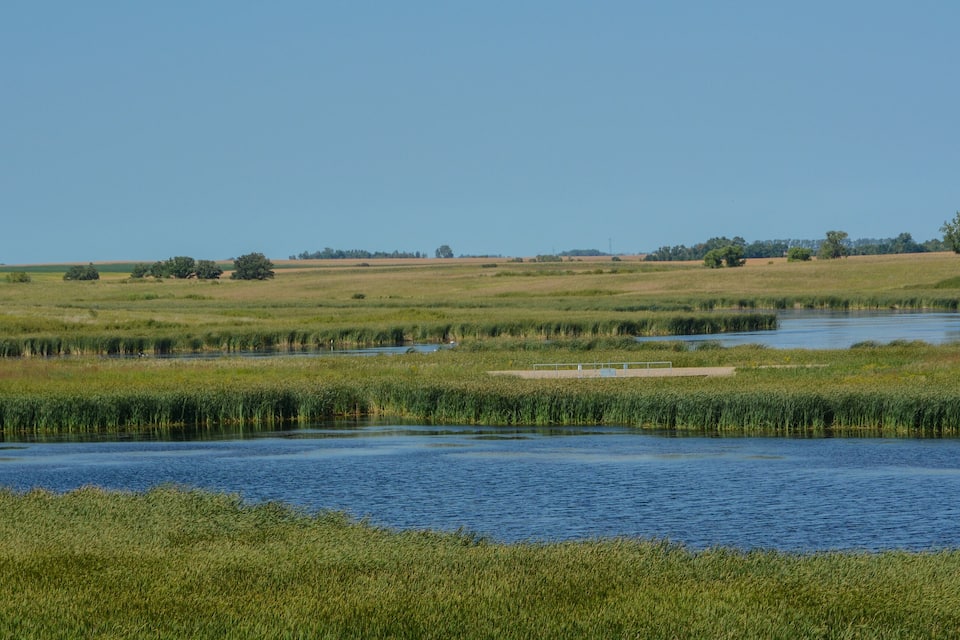 A river meandering through a grassy landscape with patches of water and reeds.