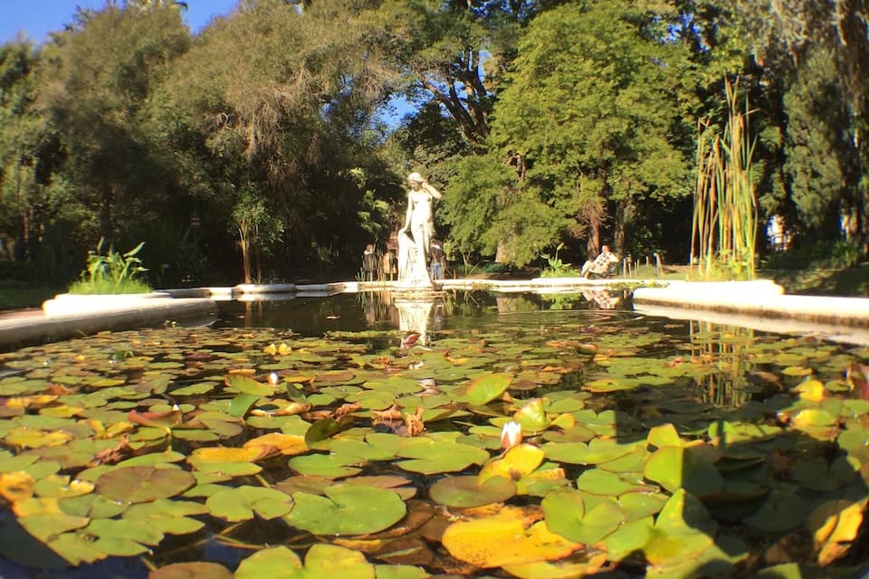 A pond with lily pads and a statue in the center surrounded by trees.