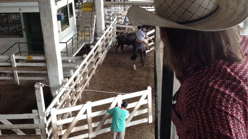 A person in a red patterned shirt and cowboy hat observing a horse and rider in a fenced arena.