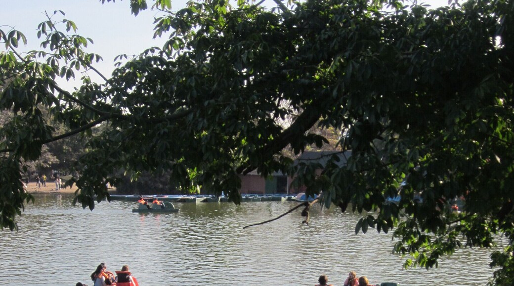 Rent a paddleboat while you are at Parque Tres de Febrero.