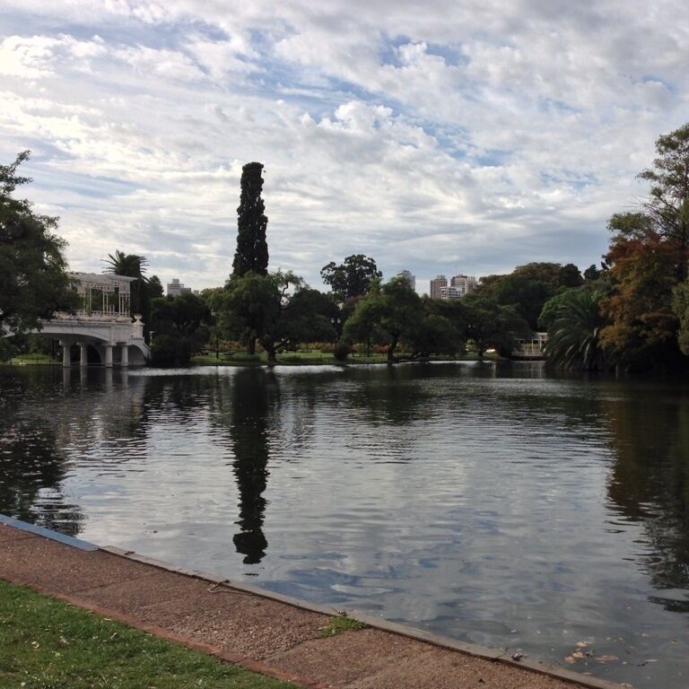 Beautiful park with lots of roads and wandering paths in the midst of the city. Great for running or jogging, and lots of people out doing it, too.
