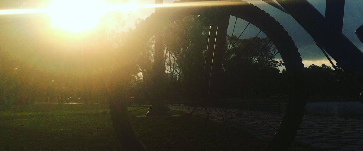 Evening at Palermo park