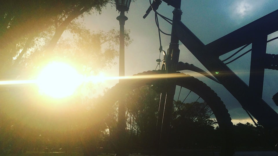 Evening at Palermo park