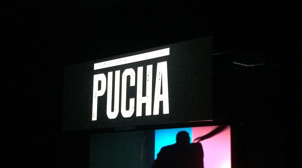 PUCHA: stand up 😂👏