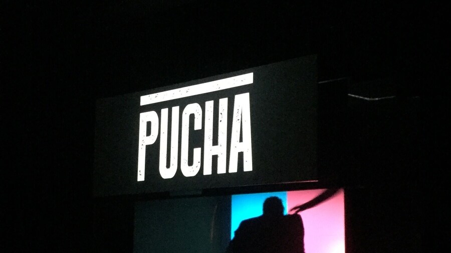 PUCHA: stand up 😂👏