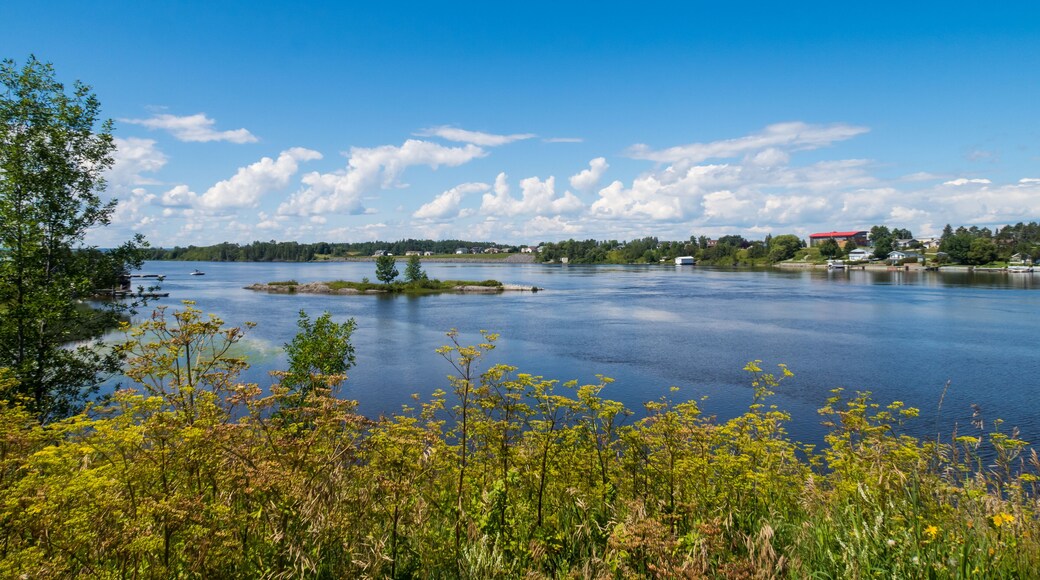 Beautiful view of a lake in Abitibi-Témiscamingue, Canada