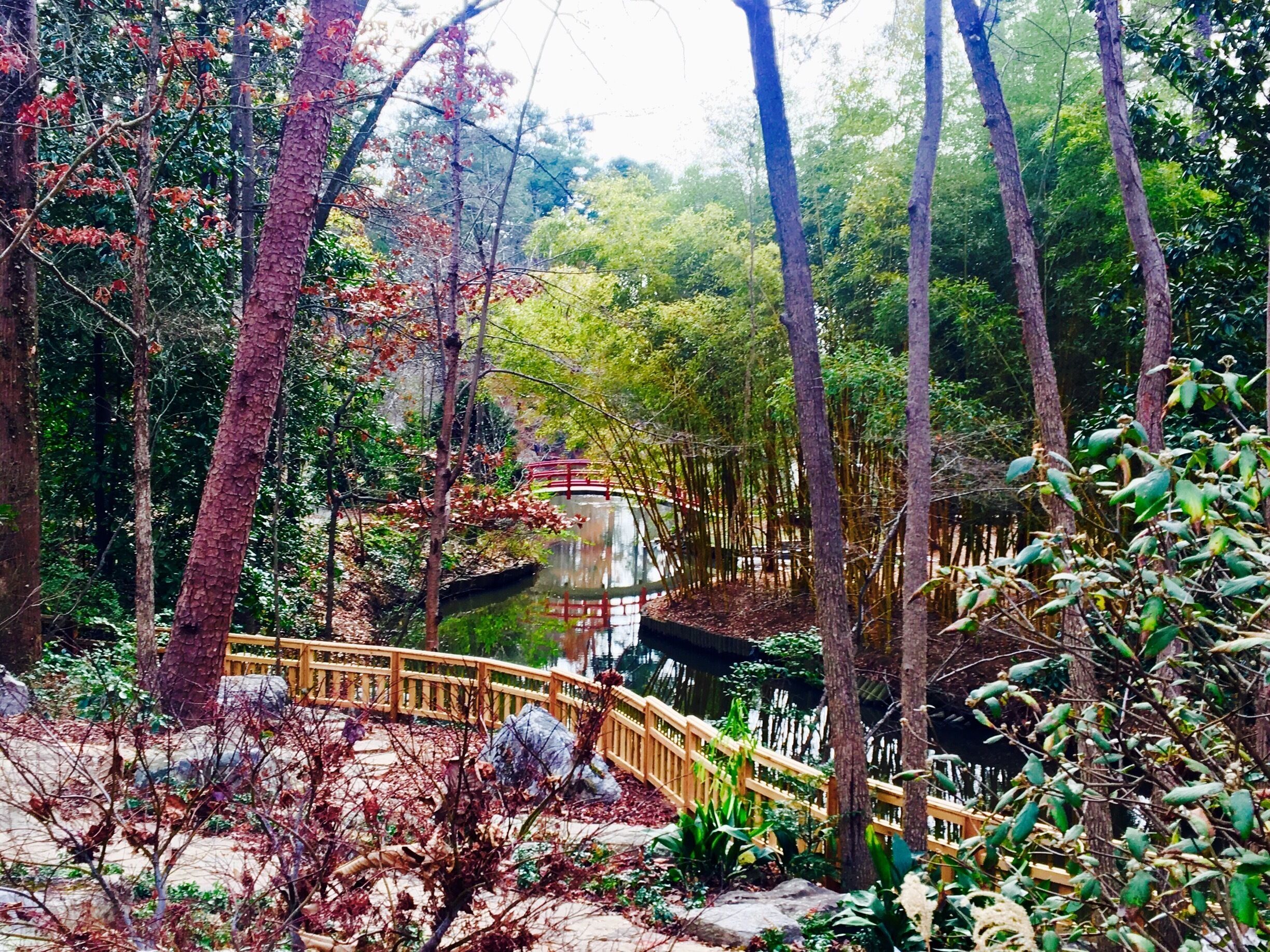 University Gardens is a conservation garden to understand, appreciate and conserve plants and to advance a sustainable relationship. There are a few short trails along the way that will take you to beautiful sceneries and each plant has a tag with name and country of provenance. 