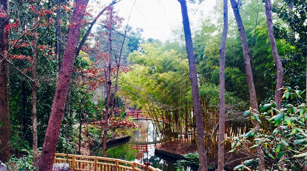 University Gardens is a conservation garden to understand, appreciate and conserve plants and to advance a sustainable relationship. There are a few short trails along the way that will take you to beautiful sceneries and each plant has a tag with name and country of provenance.