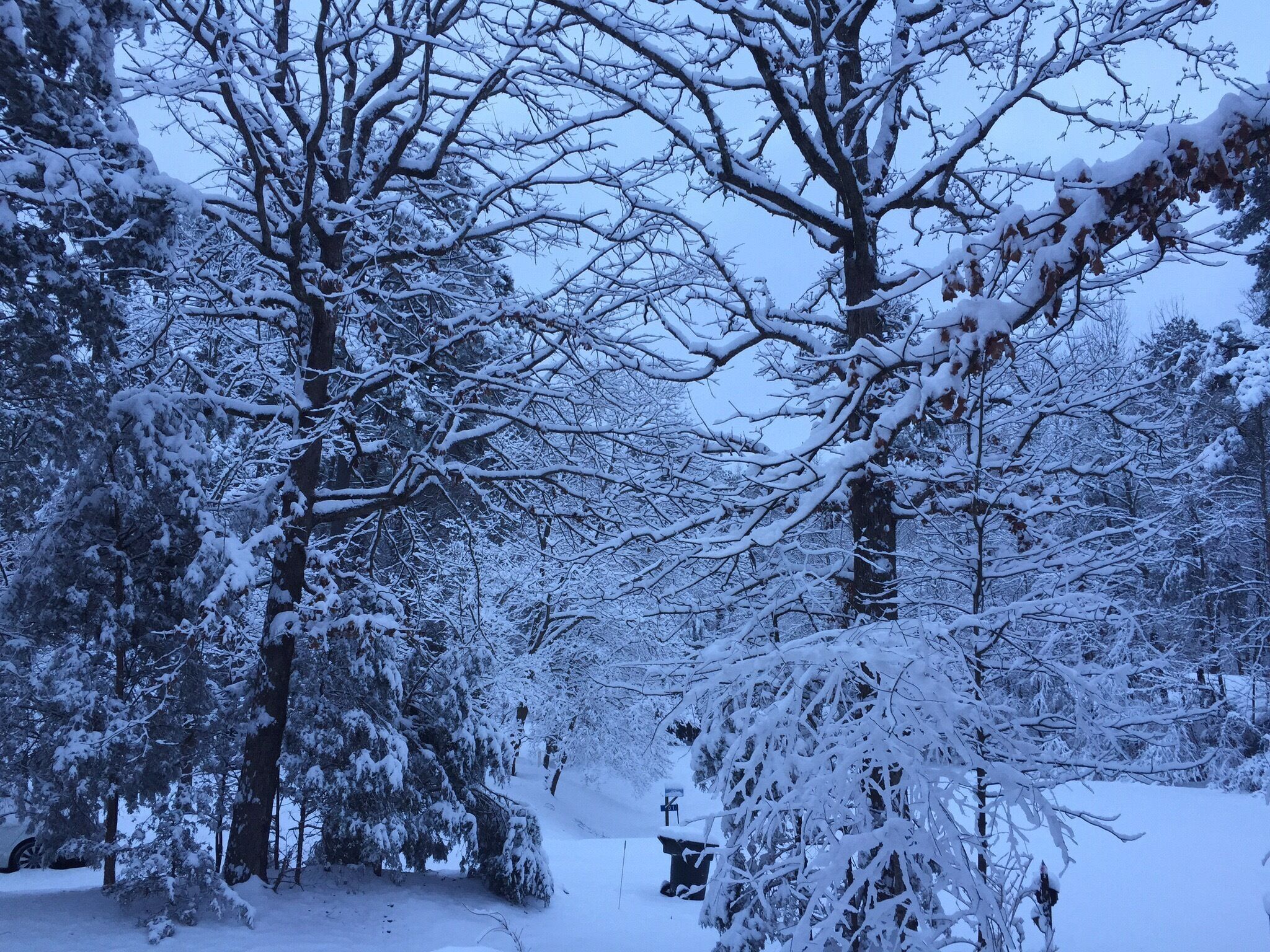 #blue discovery. Winter seems so long ago. 