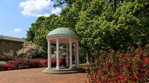 Chapel Hill