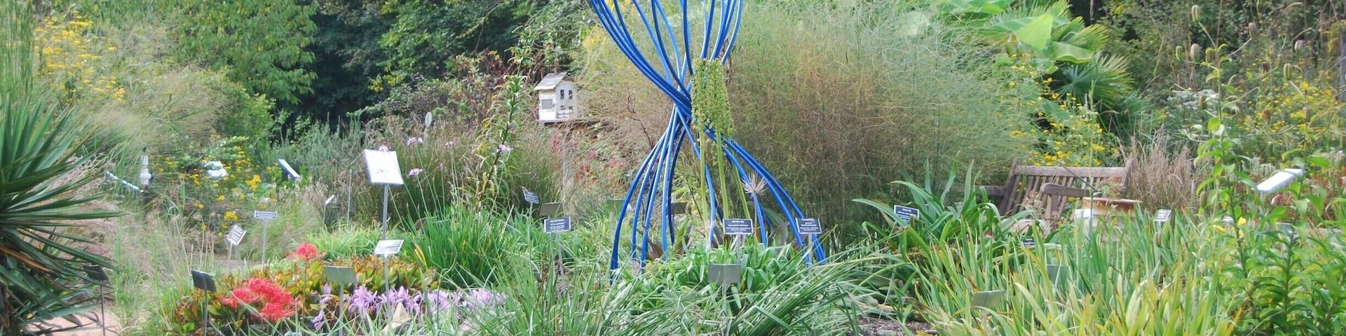 This free botanical garden is on the UNC campus although you would not know it as a visitor. The gardens are beautiful and have a huge assortment of sculptures. I was impressed with the amount of information the garden had on the plants as well as the art. A great activity to do if you are in the area! Peaceful, natural, beautiful, and full of inspiring art! There is a free parking area and an information center with everything you could need.