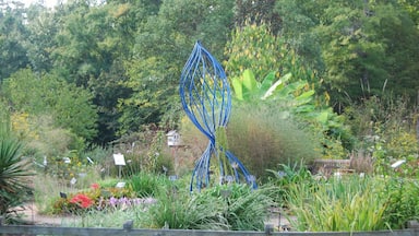 This free botanical garden is on the UNC campus although you would not know it as a visitor. The gardens are beautiful and have a huge assortment of sculptures. I was impressed with the amount of information the garden had on the plants as well as the art. A great activity to do if you are in the area! Peaceful, natural, beautiful, and full of inspiring art! There is a free parking area and an information center with everything you could need.