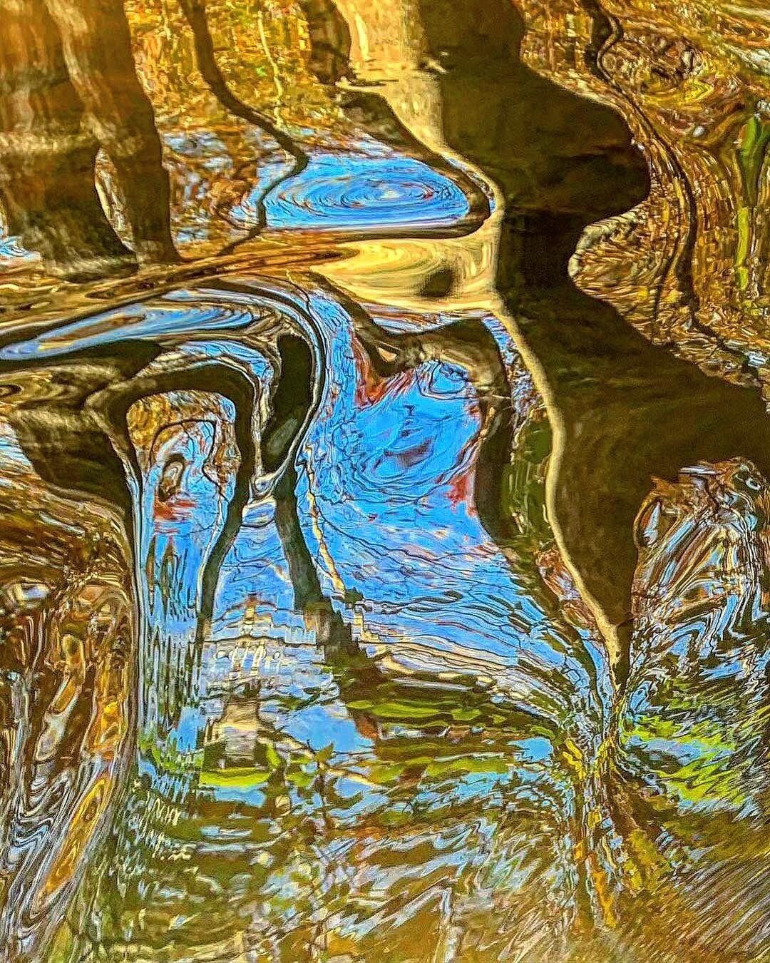 Miles of trails in this southern slice of heaven. #carolina #carrboro #viewfromarun #reflections