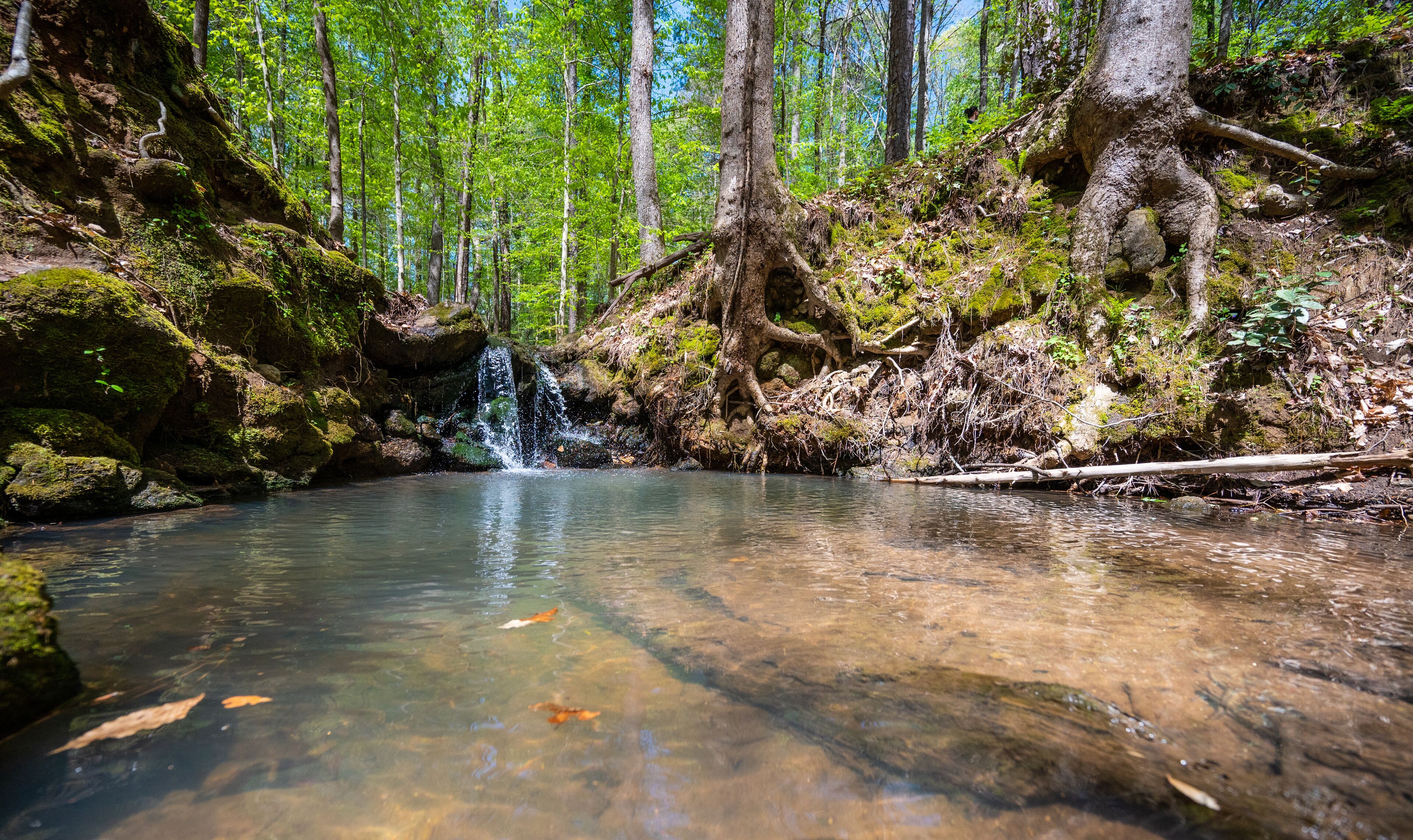 waterfall in the forest