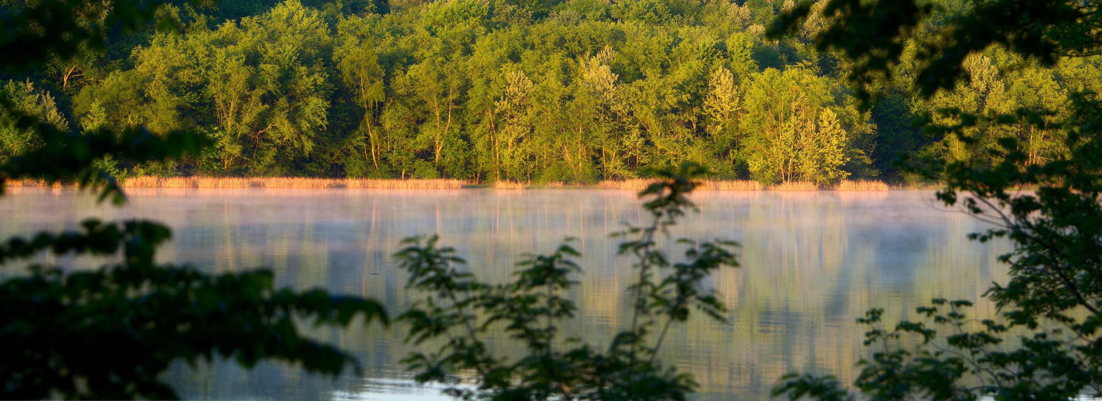 Tennessee River, Natchez Trace Parkway, Tennessee and Mississippi, USA
