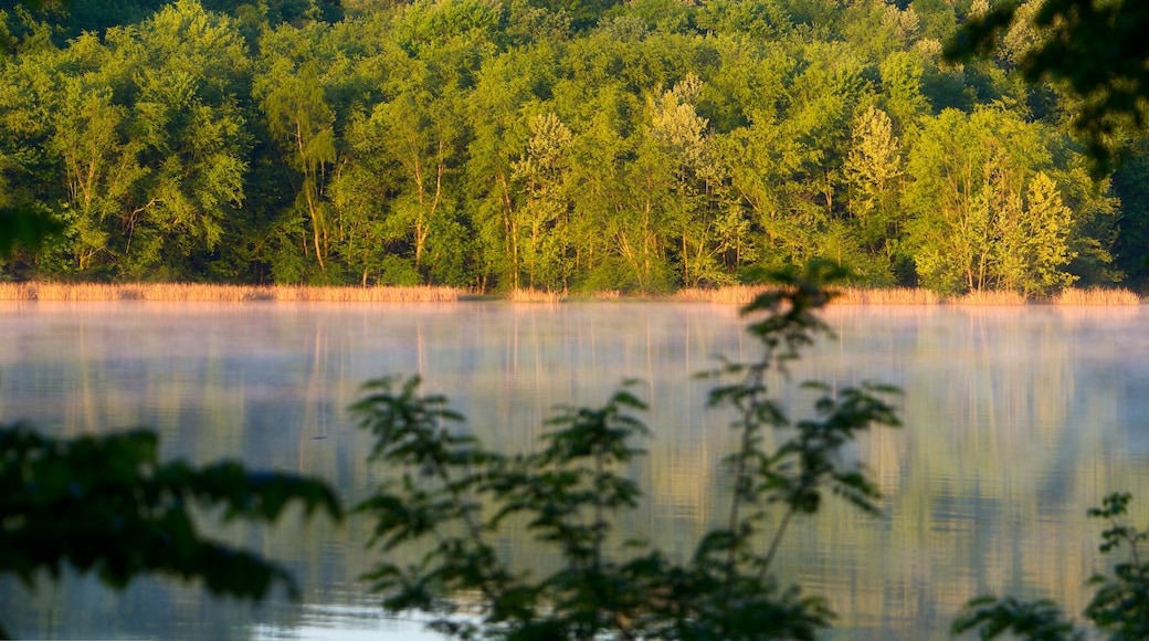 Tennessee River, Natchez Trace Parkway, Tennessee and Mississippi, USA